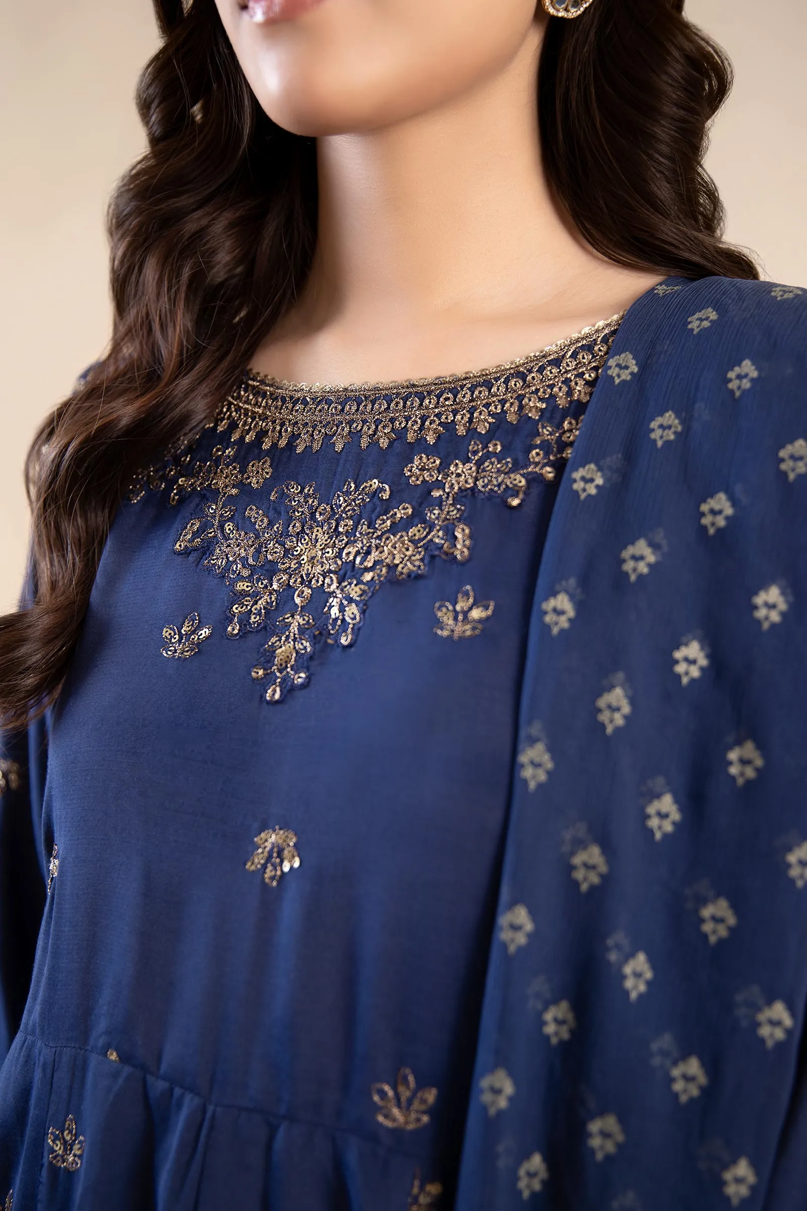 2 Piece Embroidered Raw Silk Suit | MB-F24-601