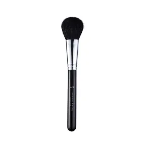 A19 Pro Brush - Blush Brush